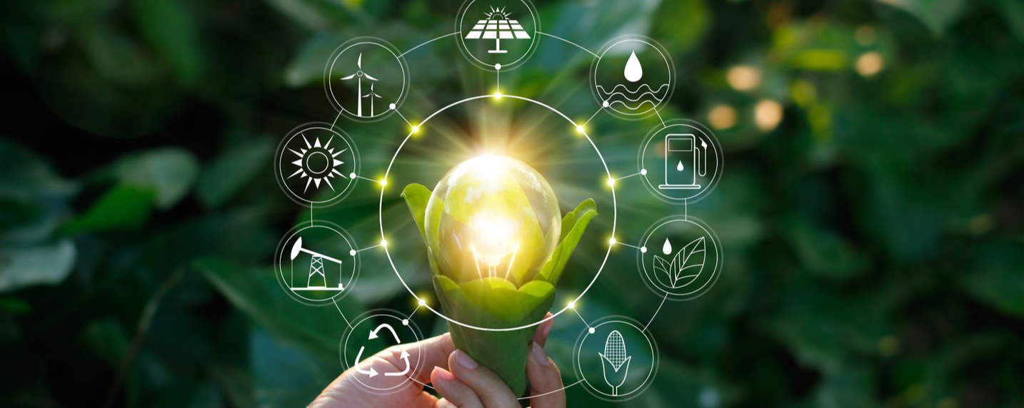 Sustainable & Green IT